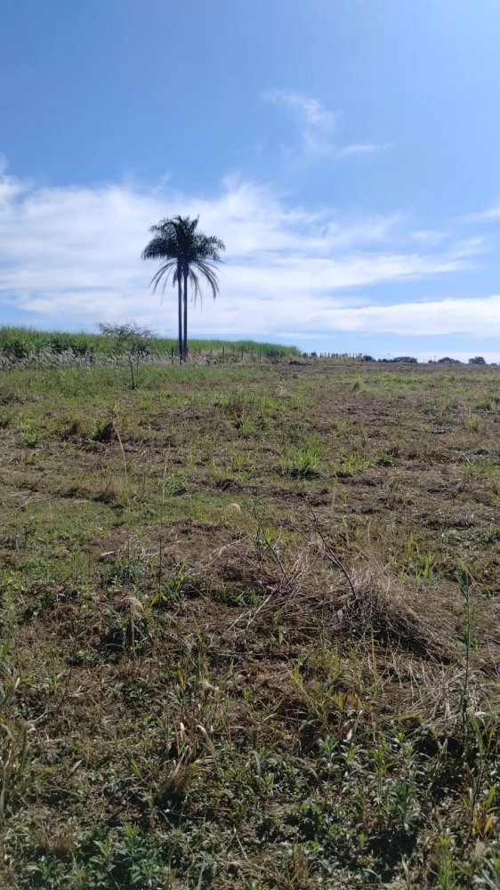 Terreno - Venda - rea Rural de Limeira - Limeira - SP